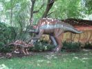 PICTURES/Dinosaur World Florida/t_IMG_5977.jpg